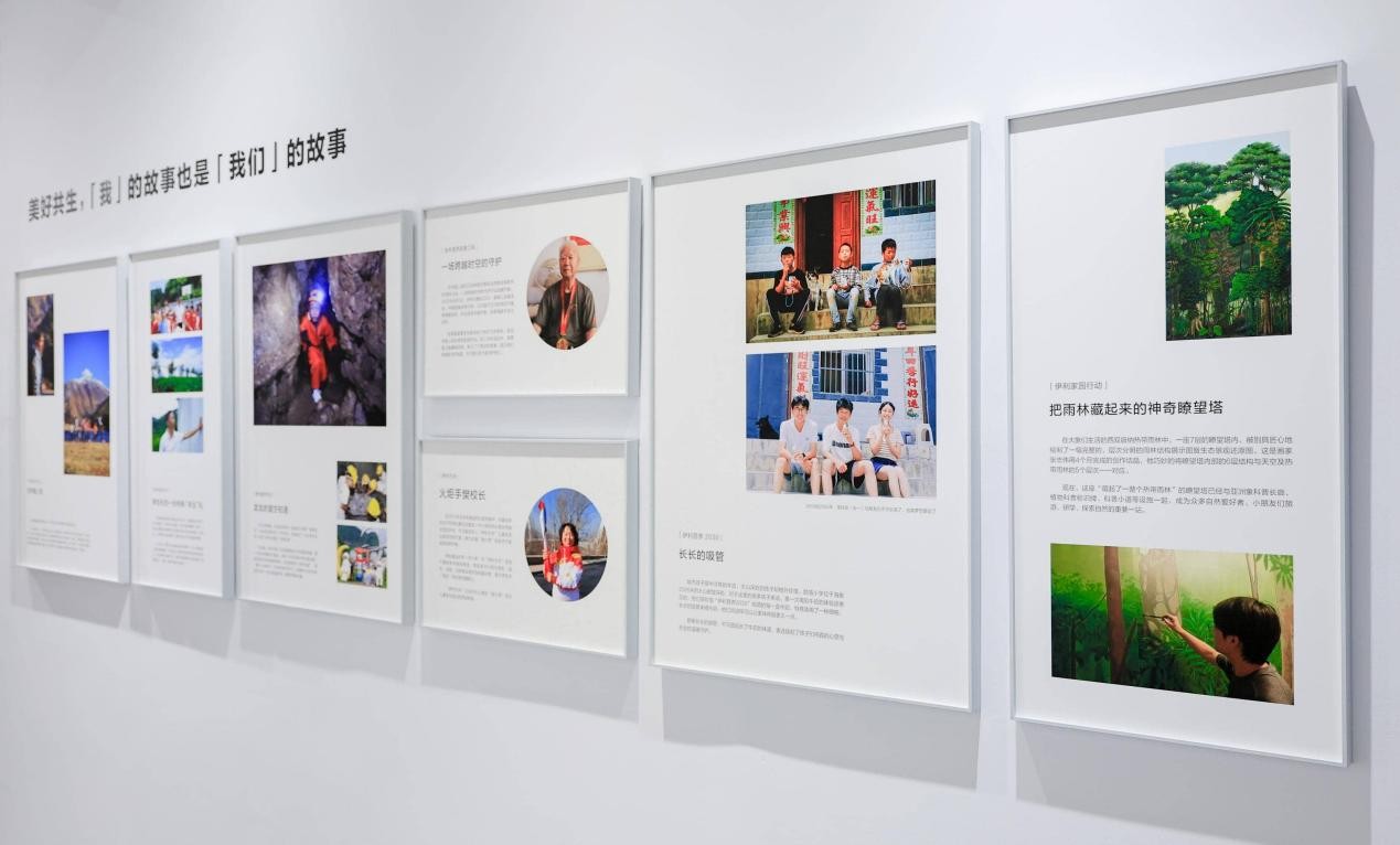 展览现场的照片墙
