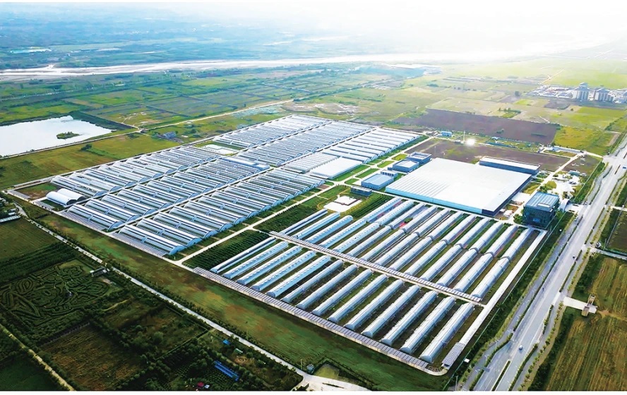 邮储银行金融支持智慧农业示范园建设。