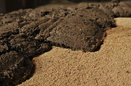 解码百年泸州老窖窖龄酒的秘密武器
