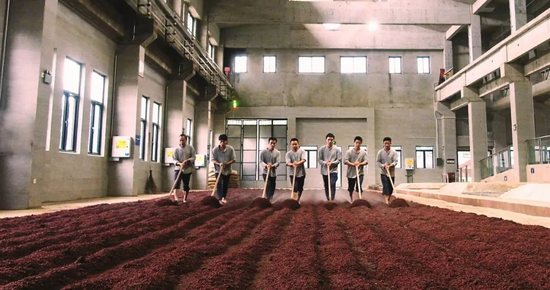 酿酒车间生产现场