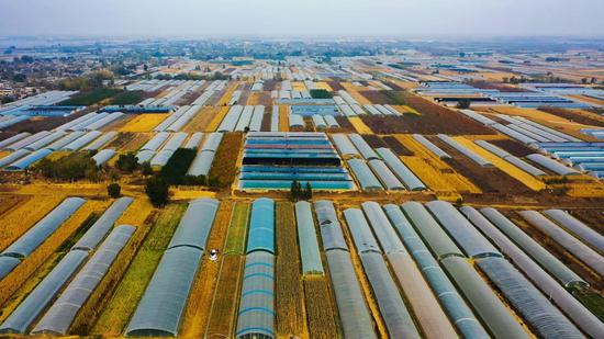 空中俯瞰饶阳县设施农业