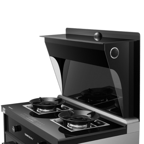 有趣的生活对话帅丰电器推出天猫精灵款蒸烤一体机