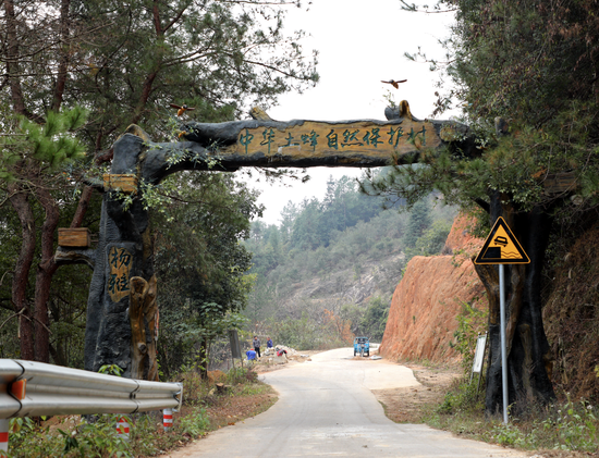 赣县区大埠乡开展网红直播带货助农活动,帮助农户增产又增收