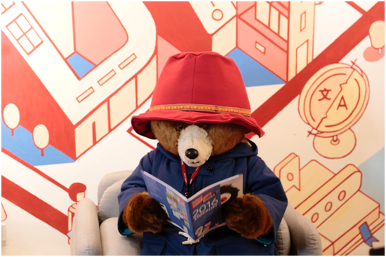 帕丁顿熊入职有道精品课,女神爱丽丝老师带熊上课