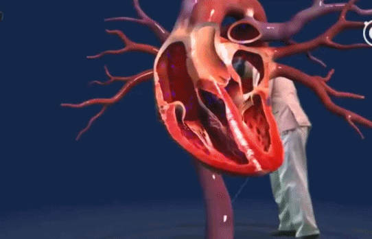 vrgif谷歌地球开启新世界ar健身拯救死肥宅