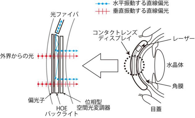 日本东京农工大学开发“智能隐形眼镜”