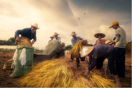 丰收大赛落幕,最大赢家却是2020京东摄影金像奖