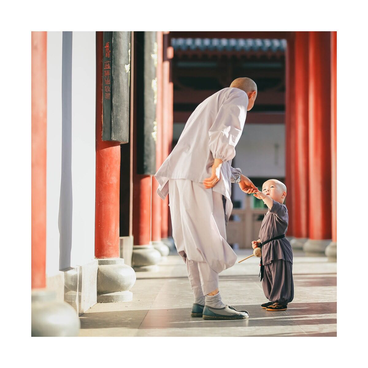 一休小和尚这个小和尚太可爱了