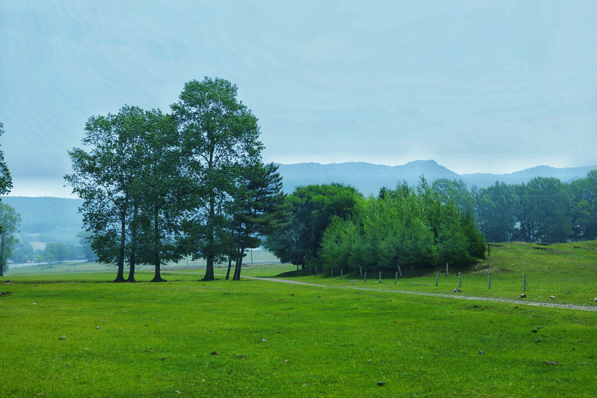 风吹草低见牛羊