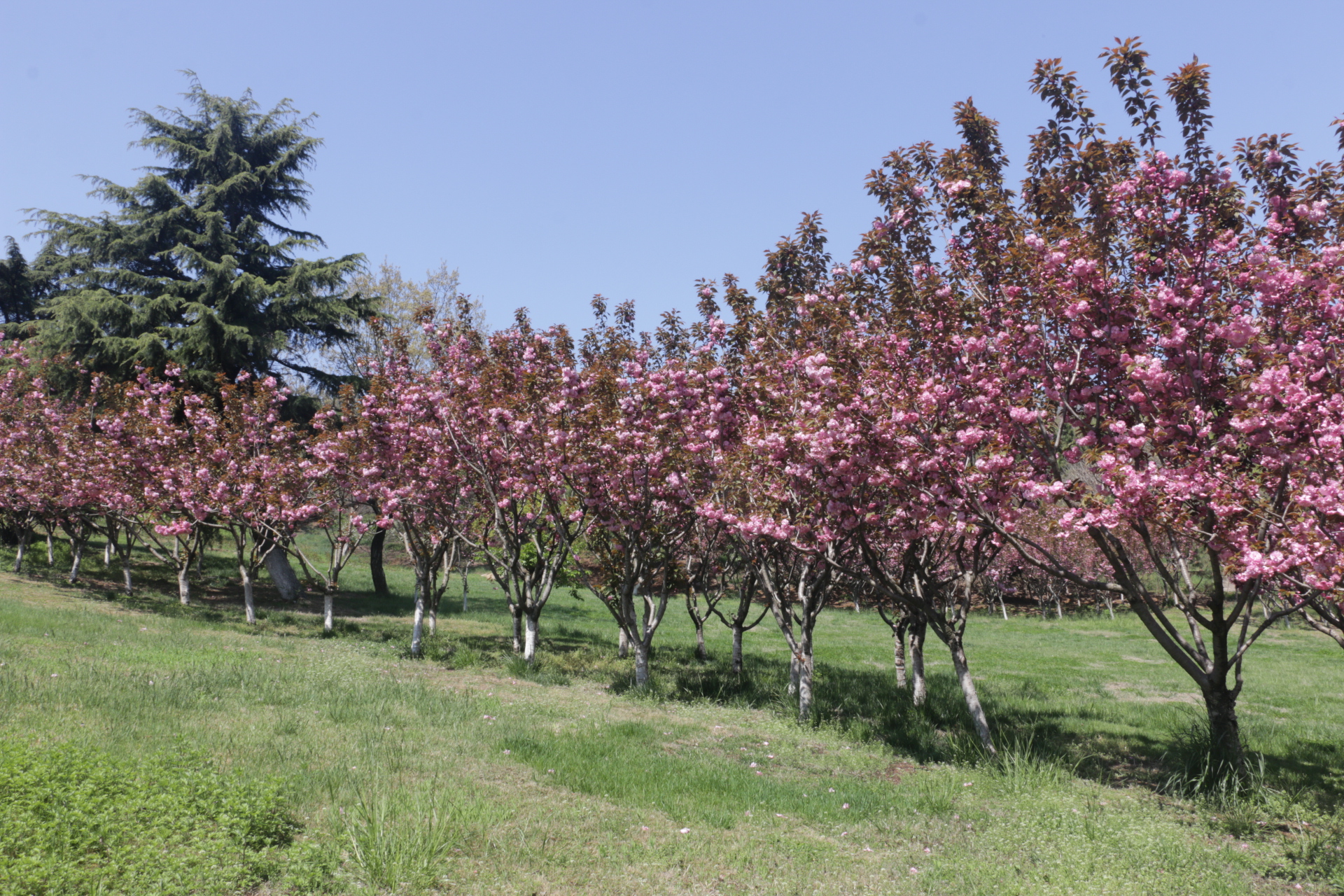 植物园遛弯儿随拍