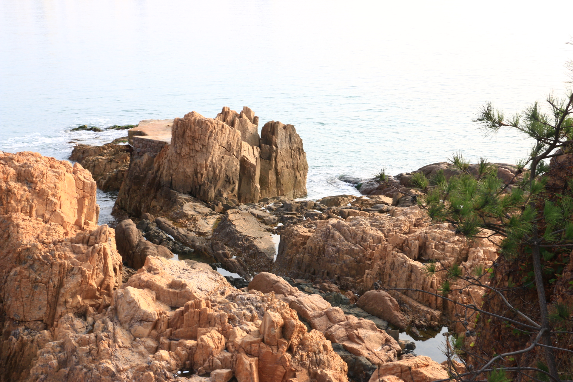 户外海边岸边礁石