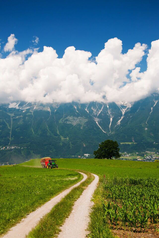 充满希望的旅途,胜过终点的到达|旅途|终点|阿尔卑斯_新浪新闻