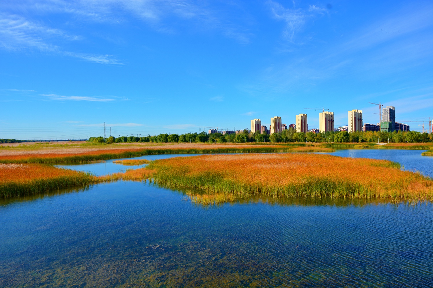 美丽的西辽河之秋,原创拍摄