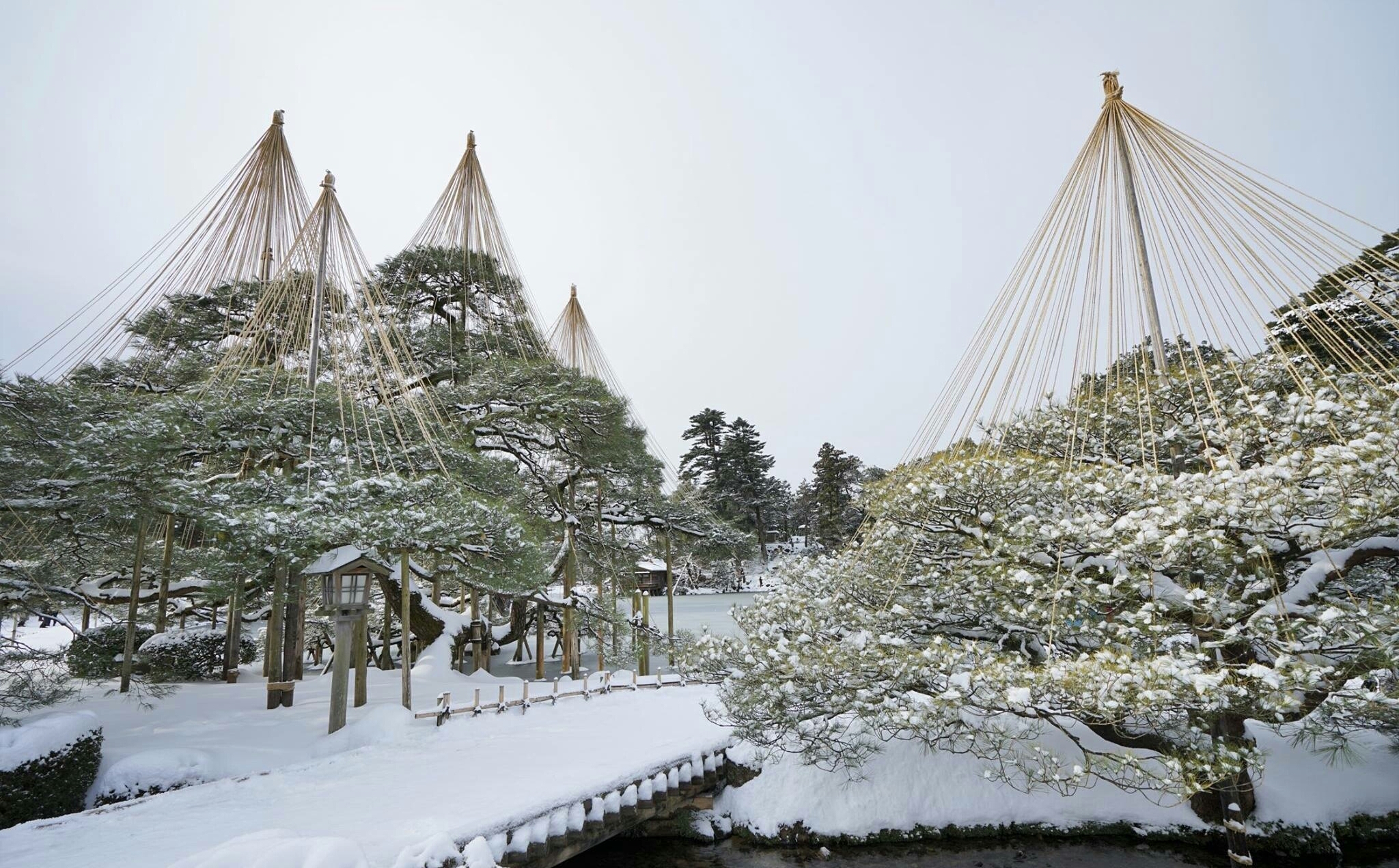 日本三大庭园之首～金泽兼六园之雪景