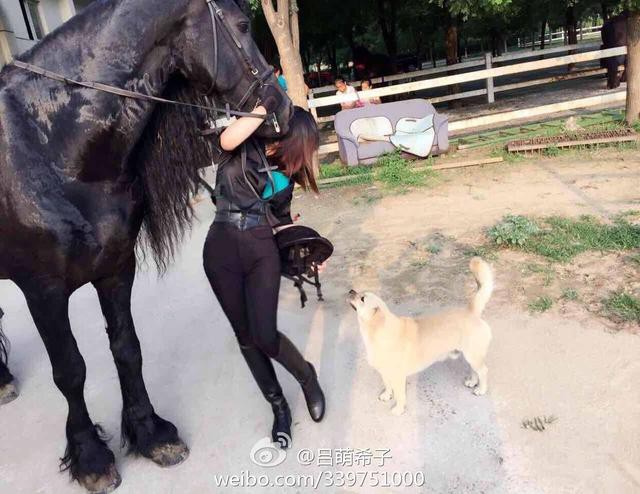 吕萌希子被誉为"最胸"台球美女裁判,新年来临之际,她在微博上晒出了与