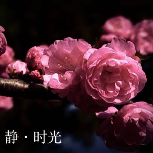 云淡风轻地微蓝