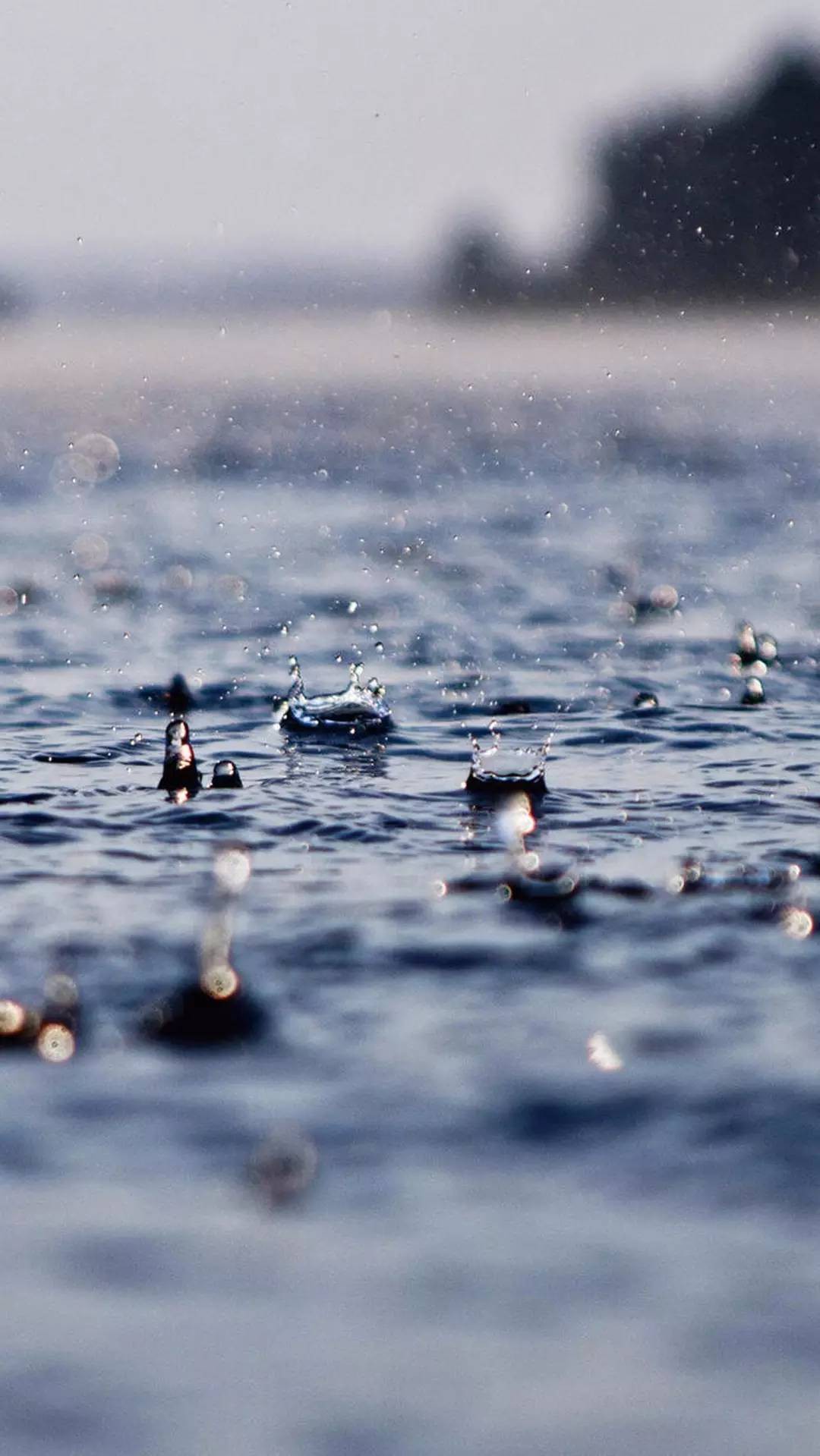 唯美壁纸,最美不过下雨天