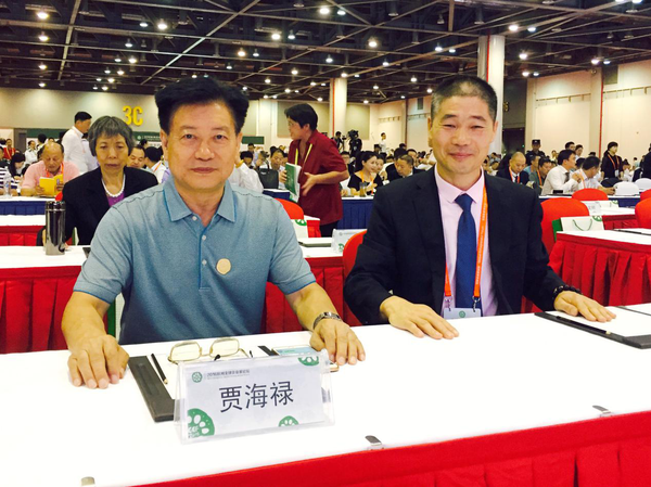 【后g20时代】 2016全球企业家论坛杭州开幕__财经头条