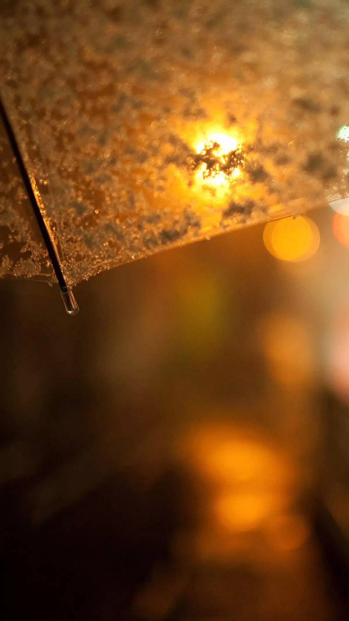 唯美壁纸,最美不过下雨天