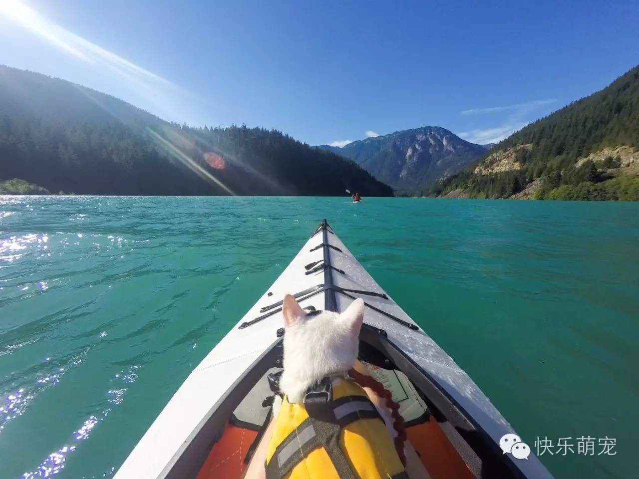 他们一起乘坐皮划艇在青山绿水间穿梭.