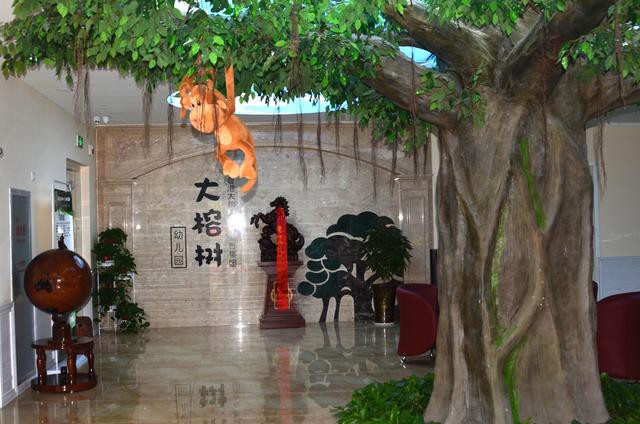 香港太古大厦楼顶,有一棵老榕树;原本长在半山坡,为了修建太古大厦