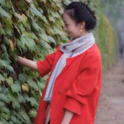 麻宁