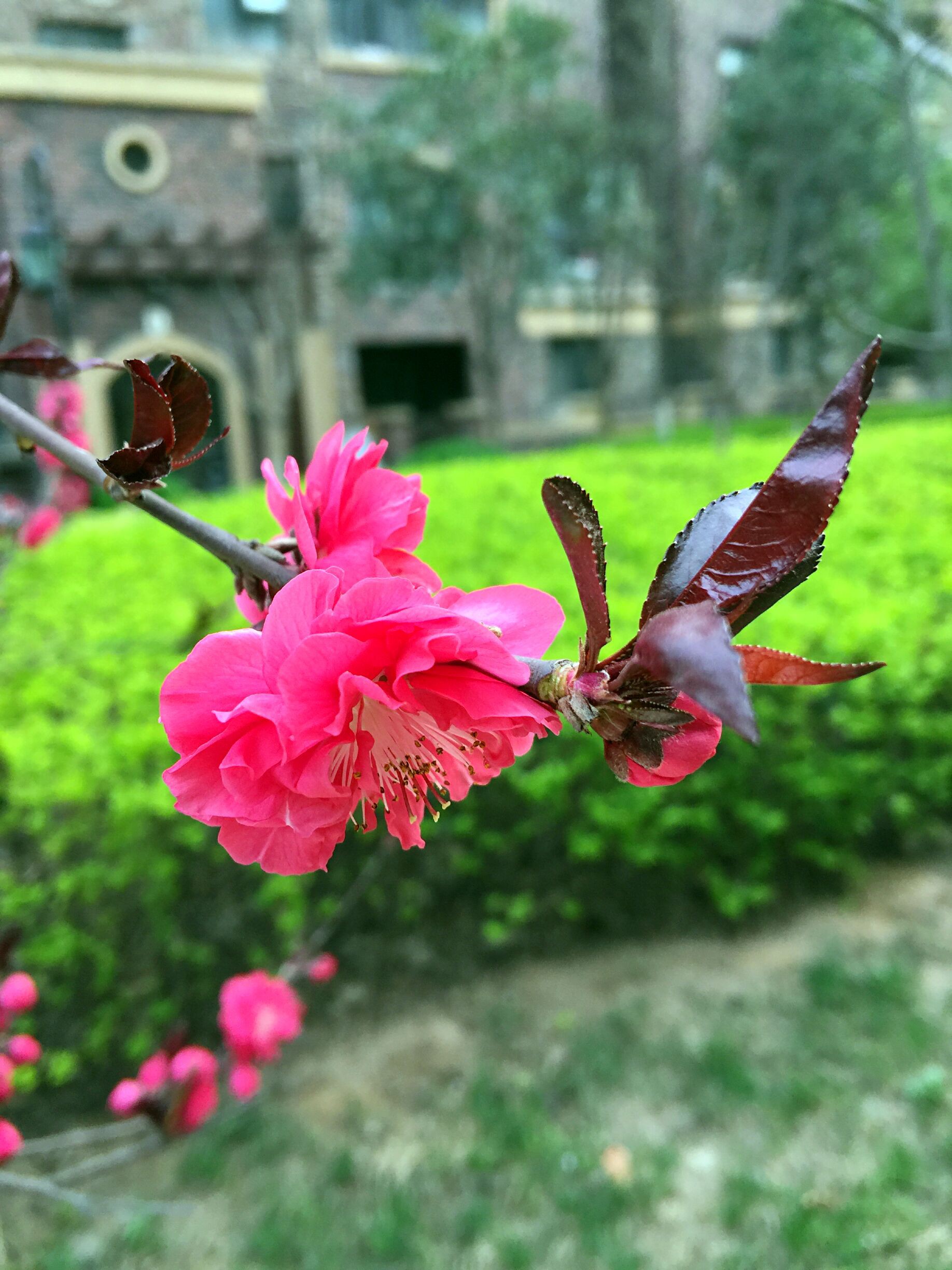 话说,老师又要涨工资了.