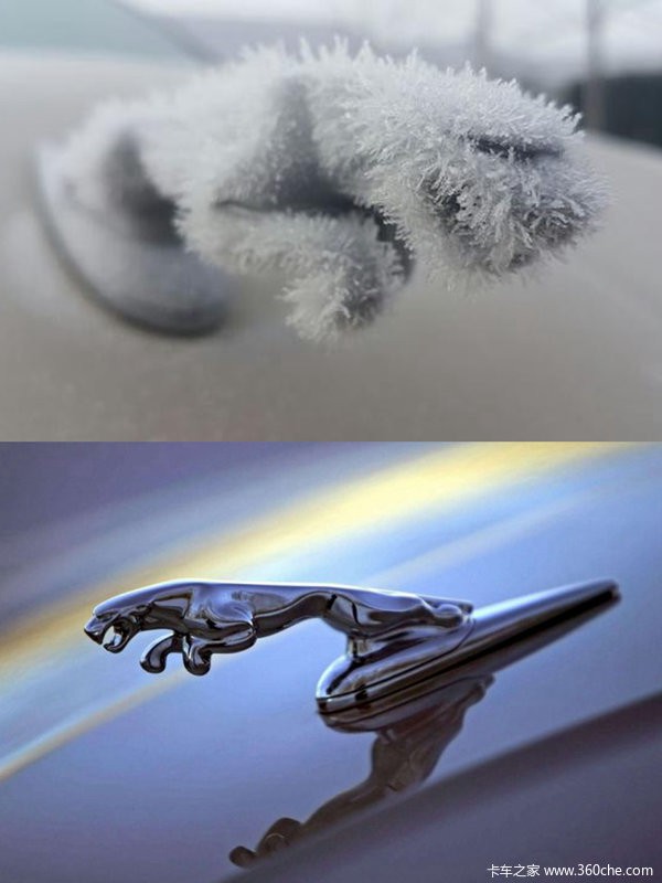 听老司机讲故事:被冻住的汽车现奇观