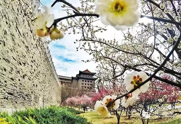 惠游北京