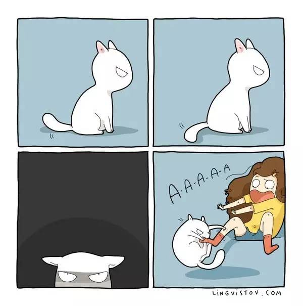 鉴定|9张漫画再现猫奴生活,这是你吗?