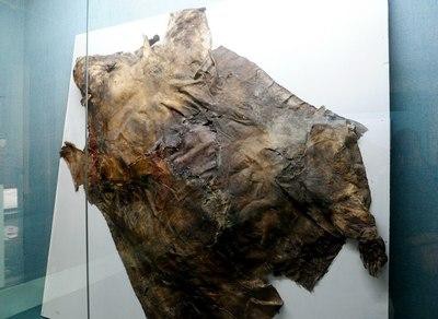 清朝皇帝和熊有不解之缘,从三头熊身上,可洞见清朝灭亡的大秘密