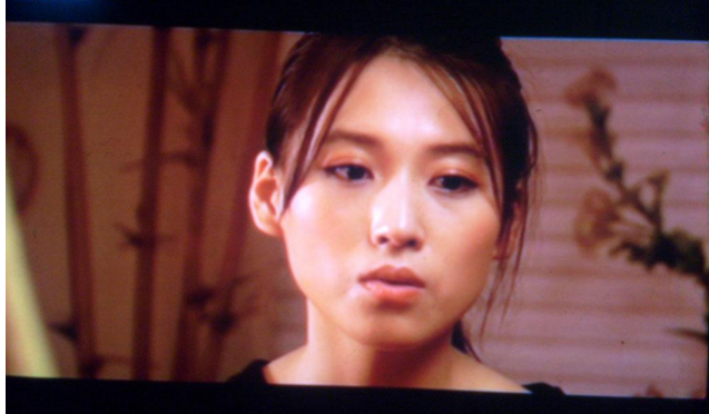 战争悬疑剧中《杀狼花》中的夏宝珠.但是却极少让人留下印象.