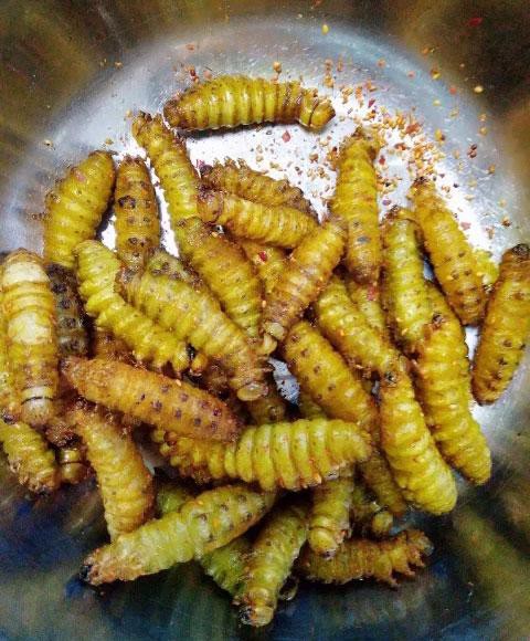 小贴示:如果是买的活的青蚕,最好盖上保鲜膜放在冰箱冻个20分钟左右拿