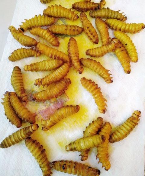 首先准备青蚕,有清水多清洗几遍.