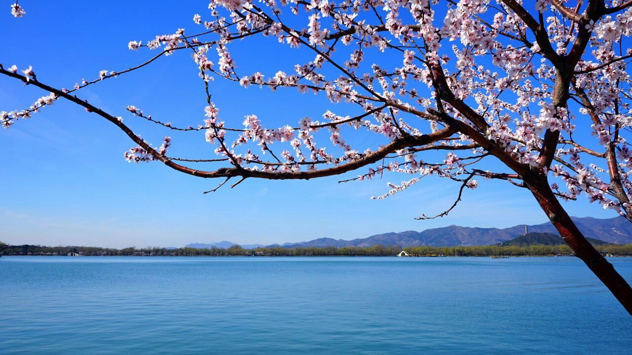 夏天到了傍晚雨下大 大街上热闹风景是怎样的