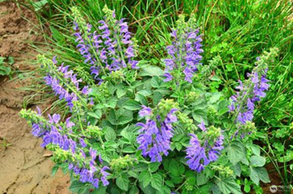 太极阴阳五行小屁孩大忽悠