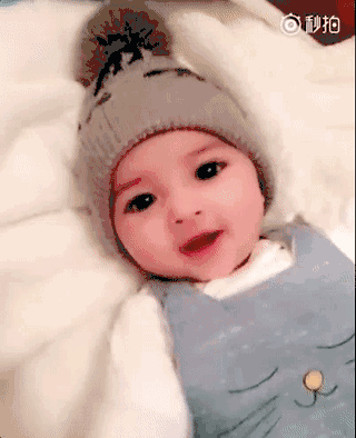 320_394gif 动态图 动图