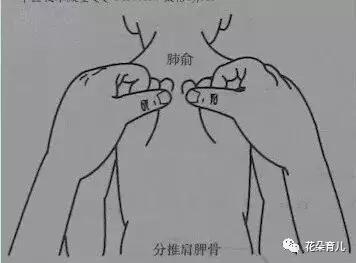 用双手拇指沿孩子的双肩胛骨骨缝从上向下作弯月形分推100~300遍.