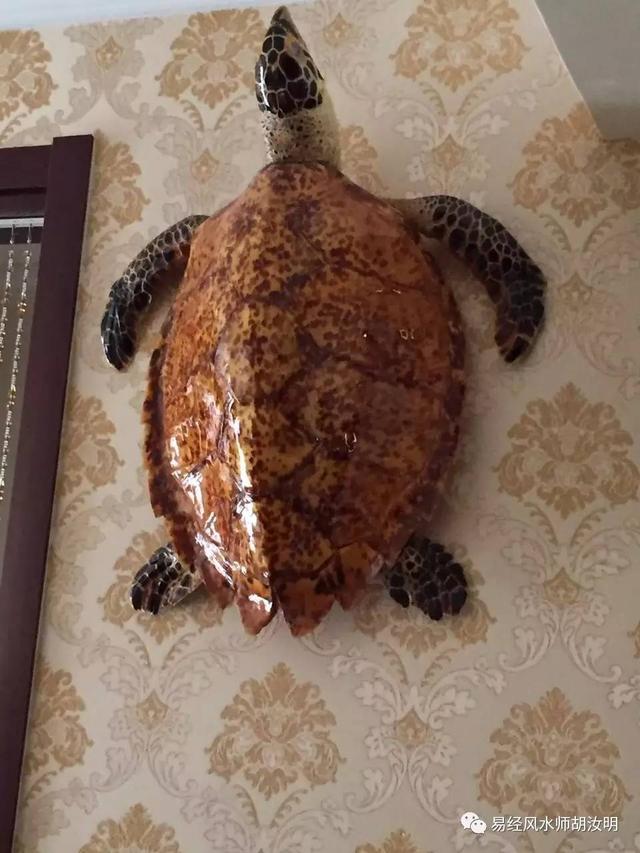 案例:官运财运亨通,健康富贵好运的家居风水布局