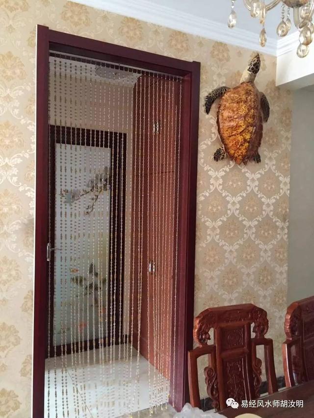 玳瑁的风水作用是什么?