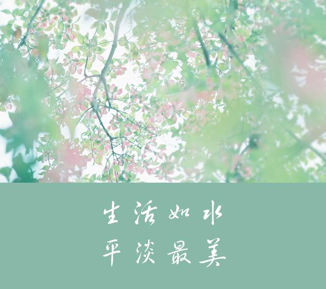 平平淡淡才是真,相濡以沫更是情