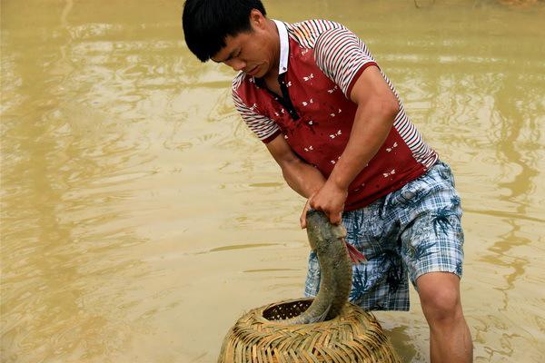 当天的开渔仪式上,许多游客身上背一个竹箩,手上拿着鱼罩,下到鱼塘