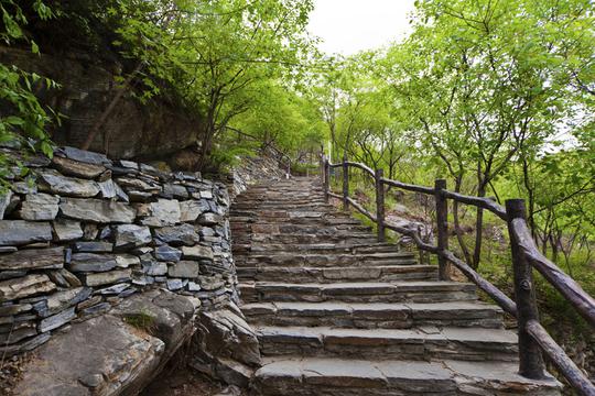 五一假期好去处 坡峰岭赏花踏青