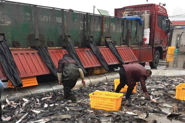 活鱼运输是绿通中的一个细分市场,也是这十几年来刚兴起的一个行业.