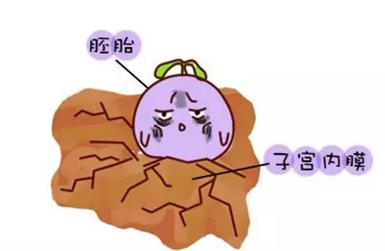 原来胎停育会有这些征兆准妈妈一定要留意