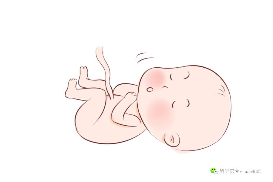 宝宝在妈妈肚子里究竟做了多少坏坏的事?