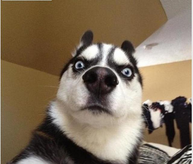 80%车主都不知道,夏天时开车,这7大陋习很危险