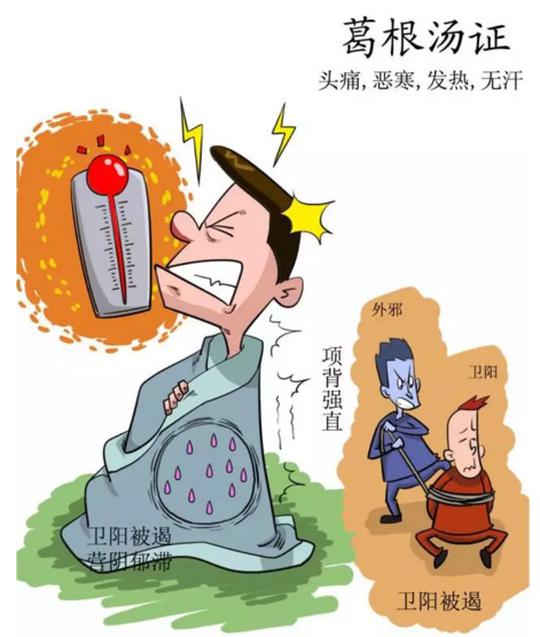 伤寒论里经典方,有人把它画了出来!