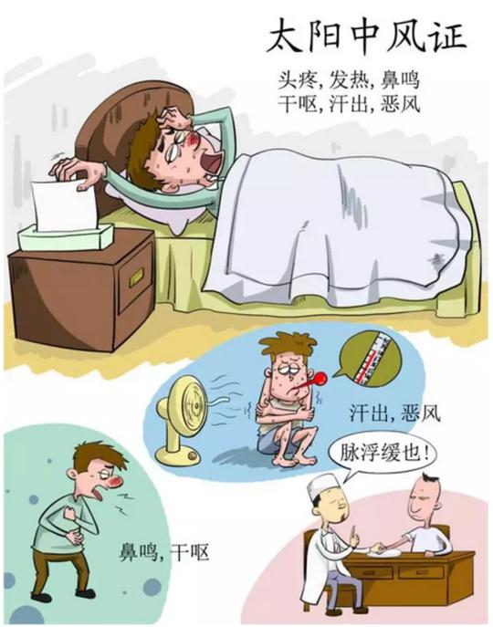 伤寒论里经典方,有人把它画了出来!