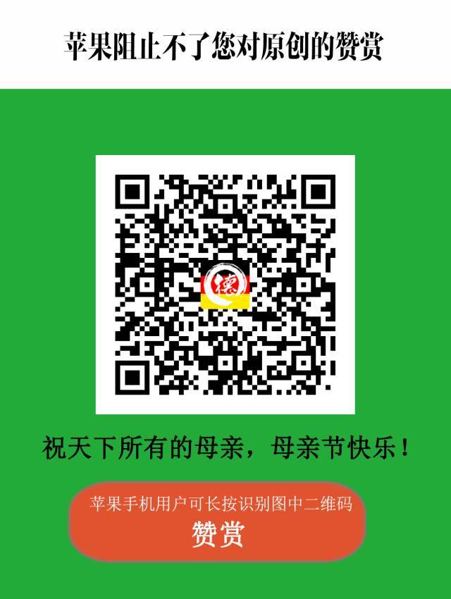 当女儿再也不肯讲中文,这位母亲的一句话看哭所有人